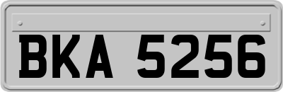 BKA5256