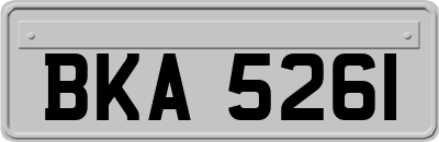 BKA5261