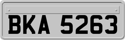 BKA5263