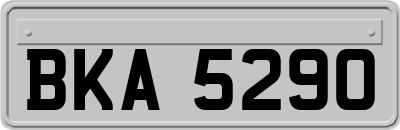 BKA5290