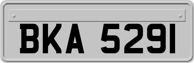 BKA5291