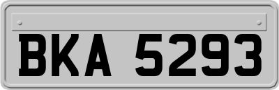 BKA5293