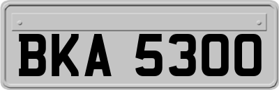 BKA5300