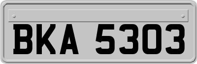 BKA5303