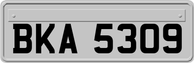 BKA5309