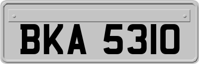 BKA5310