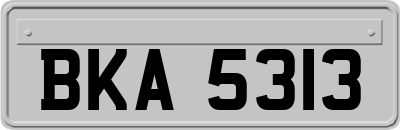 BKA5313