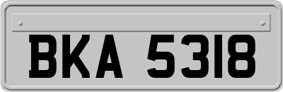 BKA5318