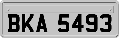 BKA5493