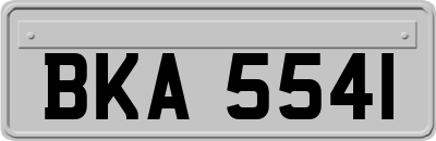 BKA5541
