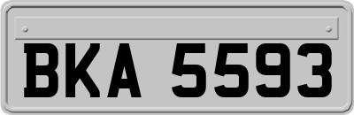 BKA5593