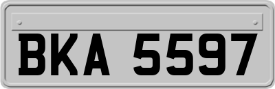 BKA5597