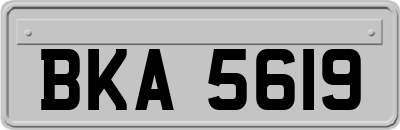 BKA5619
