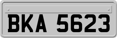 BKA5623