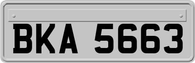 BKA5663