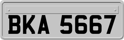 BKA5667