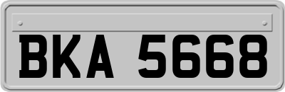 BKA5668