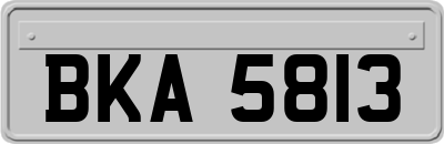 BKA5813