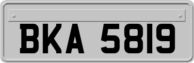 BKA5819