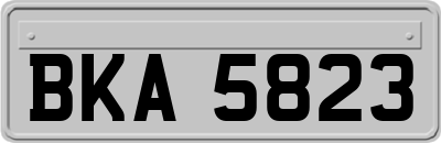 BKA5823