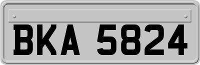 BKA5824