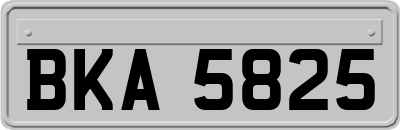 BKA5825