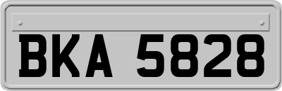 BKA5828