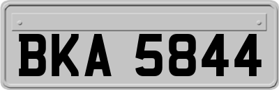 BKA5844