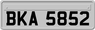 BKA5852