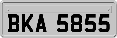 BKA5855