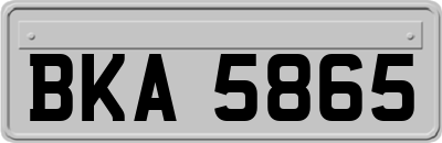 BKA5865