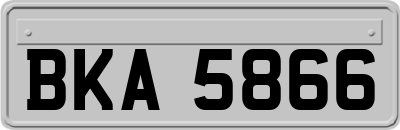 BKA5866