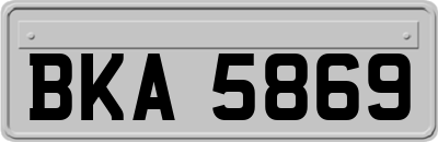 BKA5869
