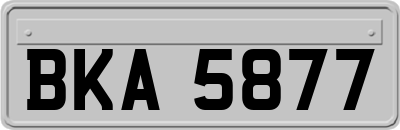 BKA5877