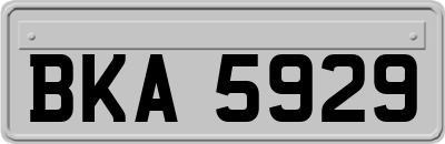 BKA5929
