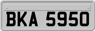 BKA5950