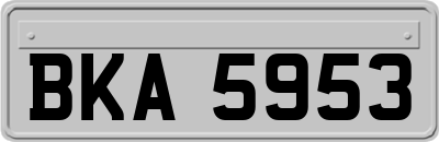 BKA5953