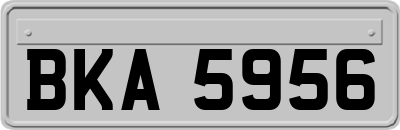 BKA5956