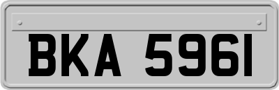 BKA5961