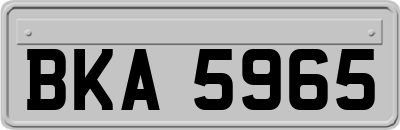 BKA5965