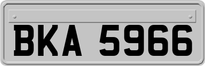 BKA5966