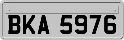 BKA5976