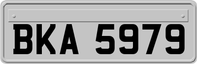 BKA5979
