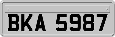 BKA5987