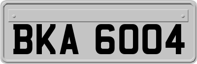 BKA6004