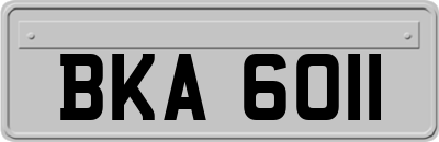 BKA6011