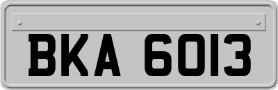 BKA6013