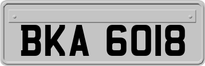 BKA6018