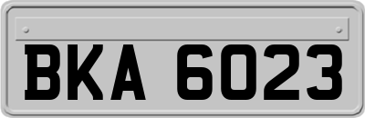 BKA6023