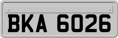 BKA6026